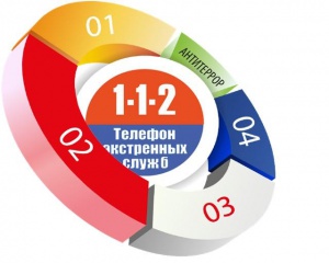 О работе Системы-112