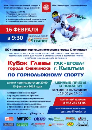Кубок главы города Снежинска