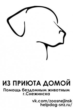 Финансовая поддержка социально ориентированным некоммерческим организациям
