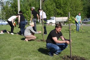 Новая аллея