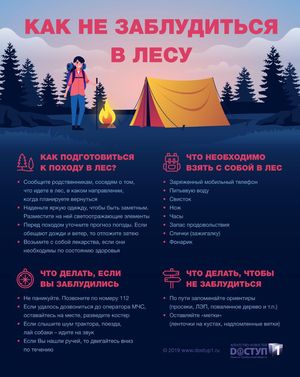 Как не заблудиться в лесу?