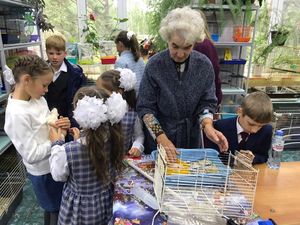 День открытых дверей