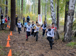 Осенний кросс лыжников