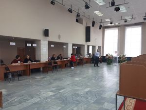 Дневник выборов