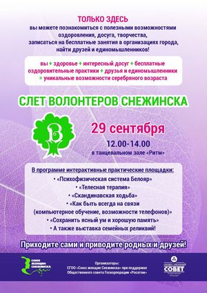 Слет волонтеров Снежинска