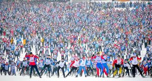 Стартует вся Россия!