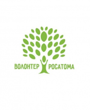 Снежинск вошел в число опорных городов для развития волонтерства