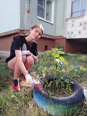 Волонтеры Снежинска приняли участие в благотворительной акции «Цветы Победы»