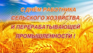 День работника сельского хозяйства и перерабатывающей промышленности