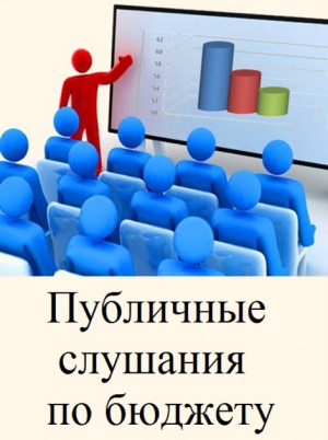 22 декабря состоятся публичные слушания по проекту бюджета Снежинского городского округа на 2021 год и плановый период 2022 и 2023 годов