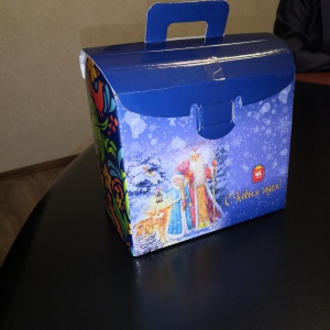 В Снежинске стартовала акция Губернатора Челябинской области «Подарим Новый год детям»
