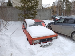 «Подснежники» круглый год