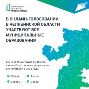 Как можно проголосовать? Информация представлена в наглядных карточках – выбирай удобный способ.