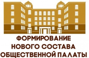 Администрация г. Снежинска начинает прием заявок от кандидатов в члены Общественной палаты.