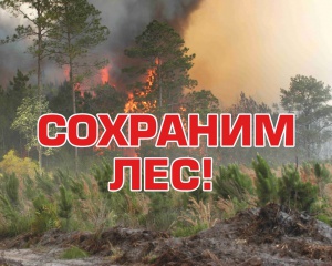 Информация о необходимости соблюдения требований природоохранного законодательства в части защиты лесов от пожаров и установленной за их нарушение ответственности