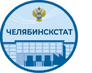 Челябинскстат проведет Комплексное наблюдение условий жизни населения на территории Челябинской области в 2024 году. В Снежинске обследованию подлежат 32 домохозяйства.