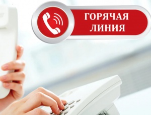 Прокуратурой города с 11.08.2025 организована работа «горячей линии»