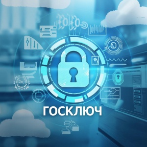 Индивидуальный номер, декларации и сделки: «Госключ» — ваш помощник в получении государственных услуг