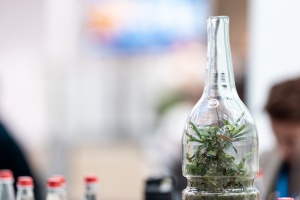 Экологический проект из Снежинска выиграл грант Экоакселератора «Росатома»