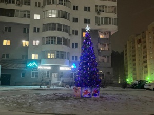 Кто станет главным новогодним волшебником Снежинска?