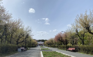 Дорогие снежинцы! С Первомаем!