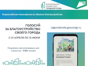 Экватор почти пройден! Более 4700 жителей Снежинска проголосовали за объекты благоустройства